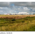 Baumrönne, 02.08.25