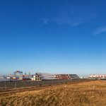 Cux, Baumrönne, 13.12.25