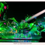 Fleckenmarkt, Polyp, 02.10.23