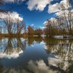 Teich nahe Martinskirche, 11.03.23