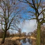 24.02.26 Teich an der Franz-Rotter-Allee