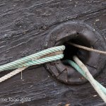 Bremerhaven, Maritime Tage, 17.08.24