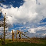 Cux, Alte Marsch, 04.04.20
