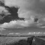 Cux-Wetternweg 03.05.20