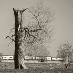 27.03.22, Alte Marsch