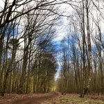 Altenwalde, 14.04.20