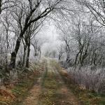 Altenwalde-Gudendorf, 22.12.07
