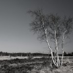 26.04.21 Holter Heide
