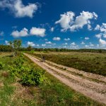 13.06.21 Holter Heide