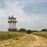 frisch gemähte Zuwegung ... 28.06.14