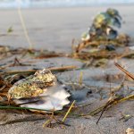 21.02.22, Döser Strand