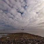 06.03.22, JAN-CUX-II