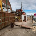 19.03.21, WIKING-Abwrackung
