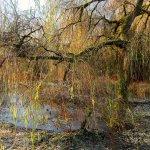 12.12.22 Schlossgraben