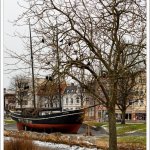07.02.21 "Dohlenbaum"