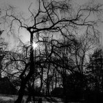 12.02.21 Schlossgarten