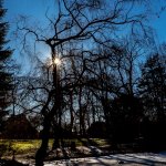 12.02.21 Schlossgarten