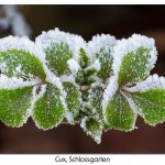 Schlossgarten Impressionen 03.02.25