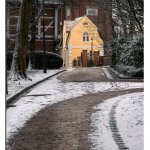 Schlossgarten Impressionen 13.02.25