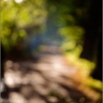 Cux-Schloßpark, 28.08.15