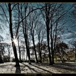 Cux-Schloßpark, 09.11.16