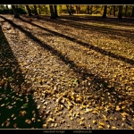 Cux-Schloßpark, 09.11.16