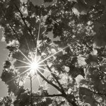 Cux Schlossgarten, 30.05.20