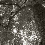 Cux Schlossgarten, 30.05.20