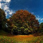 Cux, Schlossgarten, 16.10.20