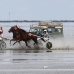 Bohrinsel Mittelplate im Hintergrund  120715-007