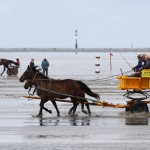 Wattenpost 120715-032