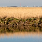 An der Ostemündung, 06.04.15