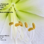 FFC-Einladung zum ...     140113-012
