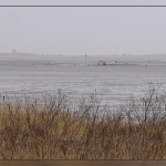 Sahlenburger Watt  01.03.13