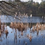Sahlenburg, Finkenmoor
