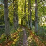 24.10.21, Cappel