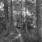 24.10.21, Cappel