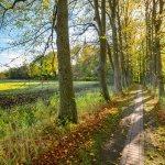 24.10.21, Cappel