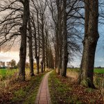 22.11.21 Cappel