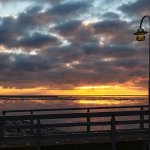 06.03.22, Dorum-Neufeld