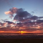 06.03.22, Dorum-Neufeld