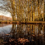 23.03.22, bei Mildem