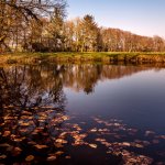 23.03.22, bei Mildem
