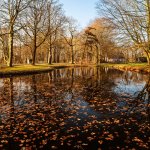 23.03.22, bei Mildem