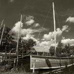 Steinhuder Meer 21.06.19