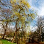 27.03.24 Nienburg