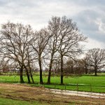 27.03.24 Huddestorf