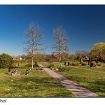 Friedhof Huddestorf  07.04.25