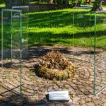03.06.22 Nienburg/W.
