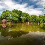 03.06.22 Kloster-Loccum